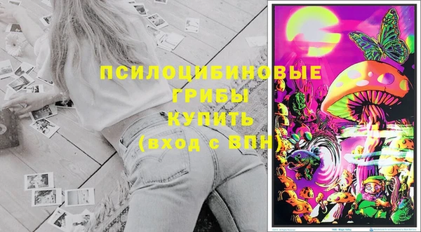 сатива Алексин