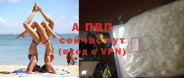 стаф Алексеевка