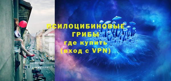 хмурый Алзамай