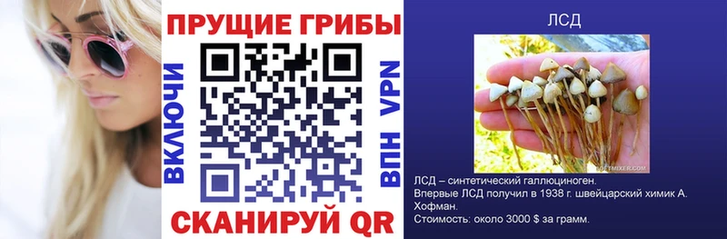 Псилоцибиновые грибы Psilocybe  MEGA онион  даркнет какой сайт  Константиновск 